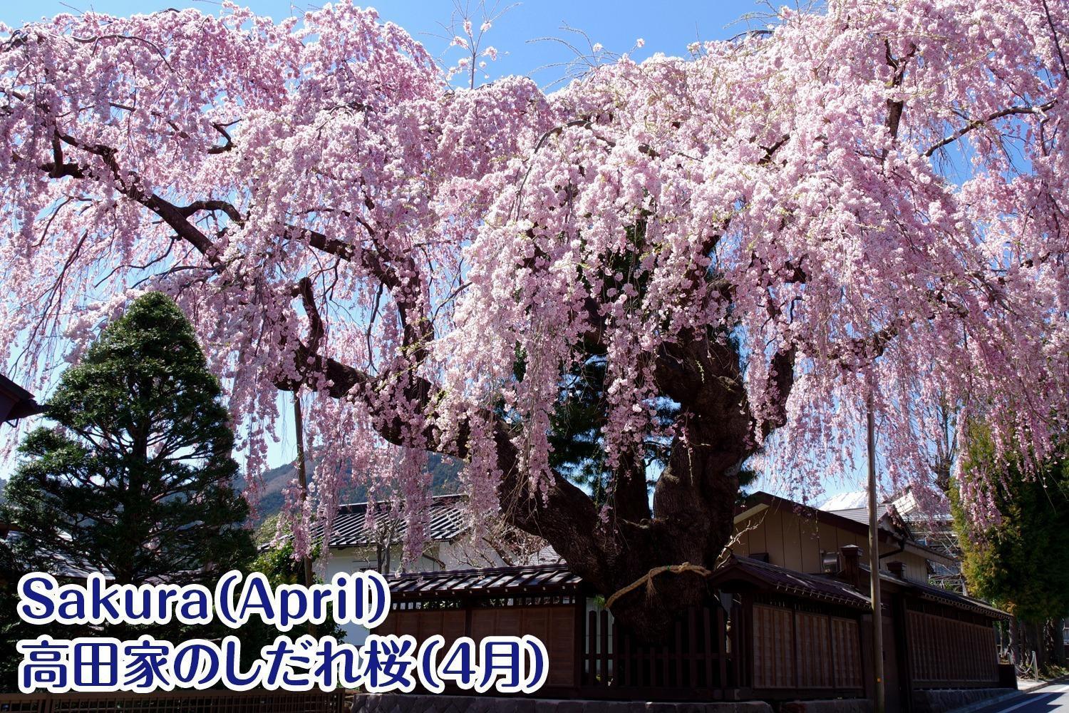 Nikko Stay House Arai - Vacation Stay 14994V מראה חיצוני תמונה